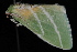  ( - 08-JDWBC-2141)  @12 [ ] CreativeCommons - Attribution (2010) Unspecified University of British Columbia