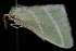  ( - 08-JDWBC-2143)  @12 [ ] CreativeCommons - Attribution (2010) Unspecified University of British Columbia