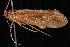  ( - 08-JDWBC-3553)  @12 [ ] CreativeCommons - Attribution (2010) Unspecified Centre for Biodiversity Genomics