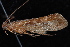  ( - 08-JDWBC-3647)  @13 [ ] CreativeCommons - Attribution (2010) Unspecified Centre for Biodiversity Genomics