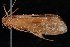  ( - 08-JDWBC-3556)  @12 [ ] CreativeCommons - Attribution (2010) Unspecified Centre for Biodiversity Genomics