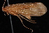  ( - 08-JDWBC-3557)  @12 [ ] CreativeCommons - Attribution (2010) Unspecified Centre for Biodiversity Genomics