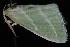  ( - 08-JDWBC-2148)  @12 [ ] CreativeCommons - Attribution (2010) Unspecified University of British Columbia
