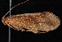  ( - 08-JDWBC-3560)  @13 [ ] CreativeCommons - Attribution (2010) Unspecified Centre for Biodiversity Genomics