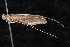  ( - 08-JDWBC-2339)  @13 [ ] CreativeCommons - Attribution (2010) Unspecified Centre for Biodiversity Genomics