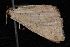  ( - 10-JDWBC-6564)  @13 [ ] CreativeCommons - Attribution (2010) Unspecified University of British Columbia