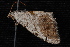  ( - 10-JDWBC-5237)  @12 [ ] CreativeCommons - Attribution (2010) Unspecified University of British Columbia