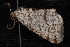  ( - 10-JDWBC-5902)  @13 [ ] CreativeCommons - Attribution (2010) Unspecified University of British Columbia