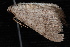  ( - 10-JDWBC-7422)  @12 [ ] CreativeCommons - Attribution (2010) Unspecified University of British Columbia