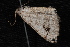  ( - 10-JDWBC-5903)  @13 [ ] CreativeCommons - Attribution (2010) Unspecified University of British Columbia