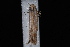  ( - 10-JDWBC-1350)  @12 [ ] CreativeCommons - Attribution (2010) Unspecified University of British Columbia