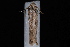  ( - 10-JDWBC-1351)  @12 [ ] CreativeCommons - Attribution (2010) Unspecified University of British Columbia