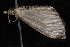  ( - 10-JDWBC-2303)  @12 [ ] CreativeCommons - Attribution (2010) Unspecified University of British Columbia
