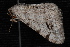  ( - 10-JDWBC-5925)  @12 [ ] CreativeCommons - Attribution (2010) Unspecified University of British Columbia