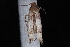  ( - 10-JDWBC-2414)  @12 [ ] CreativeCommons - Attribution (2010) Unspecified University of British Columbia