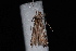 ( - 10-JDWBC-2420)  @12 [ ] CreativeCommons - Attribution (2010) Unspecified University of British Columbia