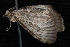 ( - 10-JDWBC-2328)  @12 [ ] CreativeCommons - Attribution (2010) Unspecified University of British Columbia