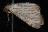  ( - 10-JDWBC-7271)  @12 [ ] CreativeCommons - Attribution (2010) Unspecified University of British Columbia