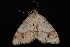  ( - 10-JDWBC-6704)  @12 [ ] CreativeCommons - Attribution (2010) Unspecified University of British Columbia