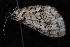  ( - 10-JDWBC-2430)  @12 [ ] CreativeCommons - Attribution (2010) Unspecified University of British Columbia