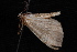  ( - 10-JDWBC-6138)  @12 [ ] CreativeCommons - Attribution (2010) Unspecified University of British Columbia