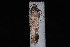  ( - 10-JDWBC-3966)  @12 [ ] CreativeCommons - Attribution (2010) Unspecified University of British Columbia