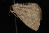 ( - 10-JDWBC-5976)  @13 [ ] CreativeCommons - Attribution (2010) Unspecified University of British Columbia