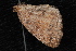  ( - 10-JDWBC-5312)  @12 [ ] CreativeCommons - Attribution (2010) Unspecified University of British Columbia