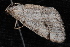  ( - 10-JDWBC-5318)  @12 [ ] CreativeCommons - Attribution (2010) Unspecified University of British Columbia