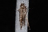  ( - 10-JDWBC-1045)  @12 [ ] CreativeCommons - Attribution (2010) Unspecified University of British Columbia
