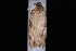  ( - 08-JDWWI-0073)  @12 [ ] CreativeCommons - Attribution (2010) Unspecified University of British Columbia