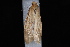  ( - 08-JDWWI-0083)  @12 [ ] CreativeCommons - Attribution (2010) Unspecified University of British Columbia