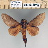  ( - 2011-879)  @13 [ ] Unspecified (default): All Rights Reserved  Unspecified Unspecified