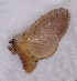  ( - 2011-884)  @12 [ ] Unspecified (default): All Rights Reserved  Unspecified Unspecified