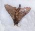  ( - 2011-900)  @12 [ ] Unspecified (default): All Rights Reserved  Unspecified Unspecified