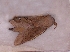  ( - 2011-904)  @13 [ ] Unspecified (default): All Rights Reserved  Unspecified Unspecified