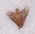  ( - 2011-905)  @13 [ ] Unspecified (default): All Rights Reserved  Unspecified Unspecified