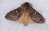  ( - 2011-909)  @13 [ ] Unspecified (default): All Rights Reserved  Unspecified Unspecified