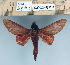  ( - 2011-922)  @14 [ ] Unspecified (default): All Rights Reserved  Unspecified Unspecified