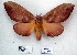  ( - 2011-986)  @14 [ ] Unspecified (default): All Rights Reserved  2011-986 Unspecified
