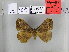 ( - EUPT-11-034)  @12 [ ] Unspecified (default): All Rights Reserved  Unspecified Unspecified