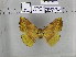  ( - EUPT-11-040)  @11 [ ] Unspecified (default): All Rights Reserved  Unspecified Unspecified
