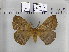  ( - EUPT-11-087)  @14 [ ] Unspecified (default): All Rights Reserved  Unspecified Unspecified
