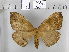  ( - EUPT-11-092)  @14 [ ] Unspecified (default): All Rights Reserved  Unspecified Unspecified
