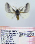  ( - Str-283)  @12 [ ] Unspecified (default): All Rights Reserved  Unspecified Unspecified