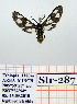  ( - Str-287)  @12 [ ] Unspecified (default): All Rights Reserved  Unspecified Unspecified