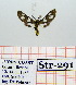  ( - Str-291)  @11 [ ] Unspecified (default): All Rights Reserved  Unspecified Unspecified