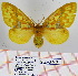  ( - Str-368)  @13 [ ] Unspecified (default): All Rights Reserved  Unspecified Unspecified