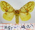  ( - Str-370)  @13 [ ] Unspecified (default): All Rights Reserved  Unspecified Unspecified