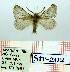 ( - Str-202)  @12 [ ] Unspecified (default): All Rights Reserved  Str-202 Unspecified